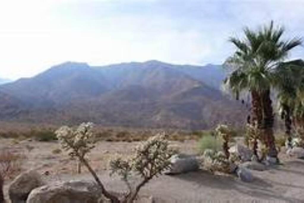 Butterfly House: A Tranquil Haven In Joshua Tree Villa Exterior photo